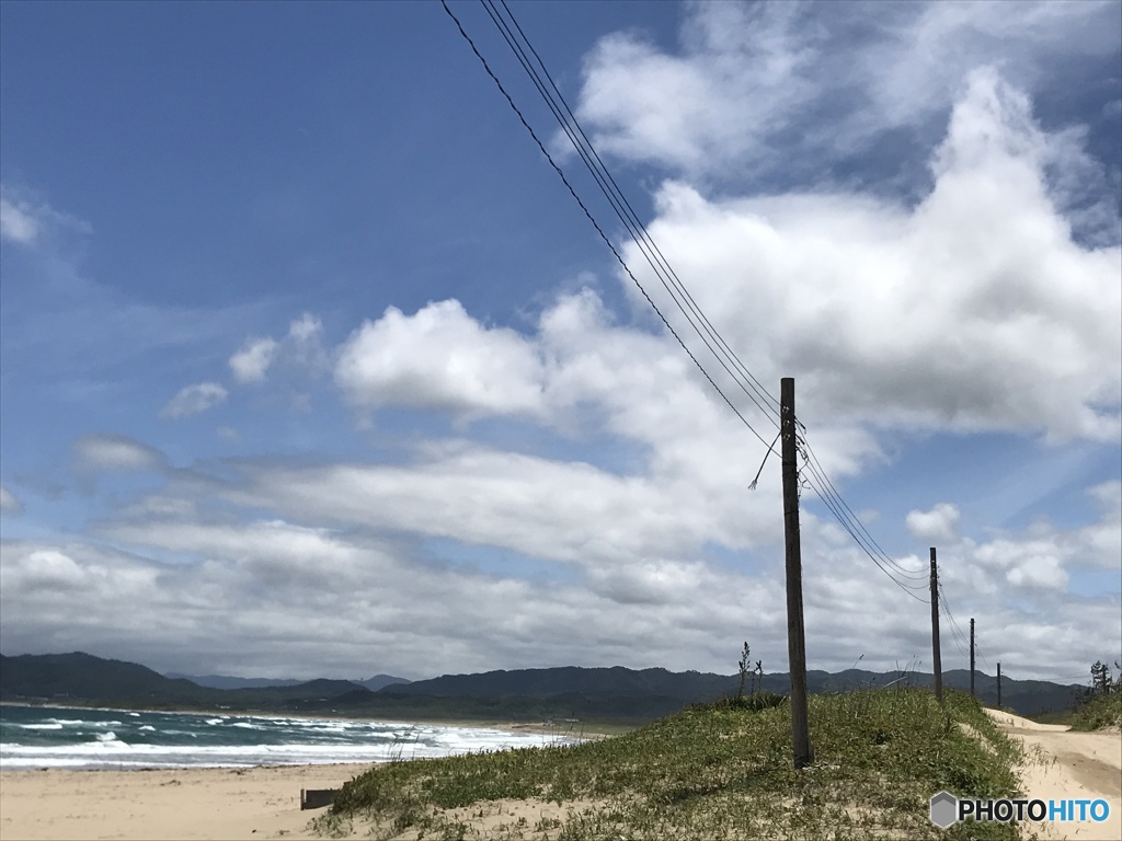 海と木柱