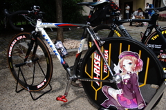 アリス