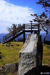 NEX5R