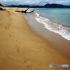 流木