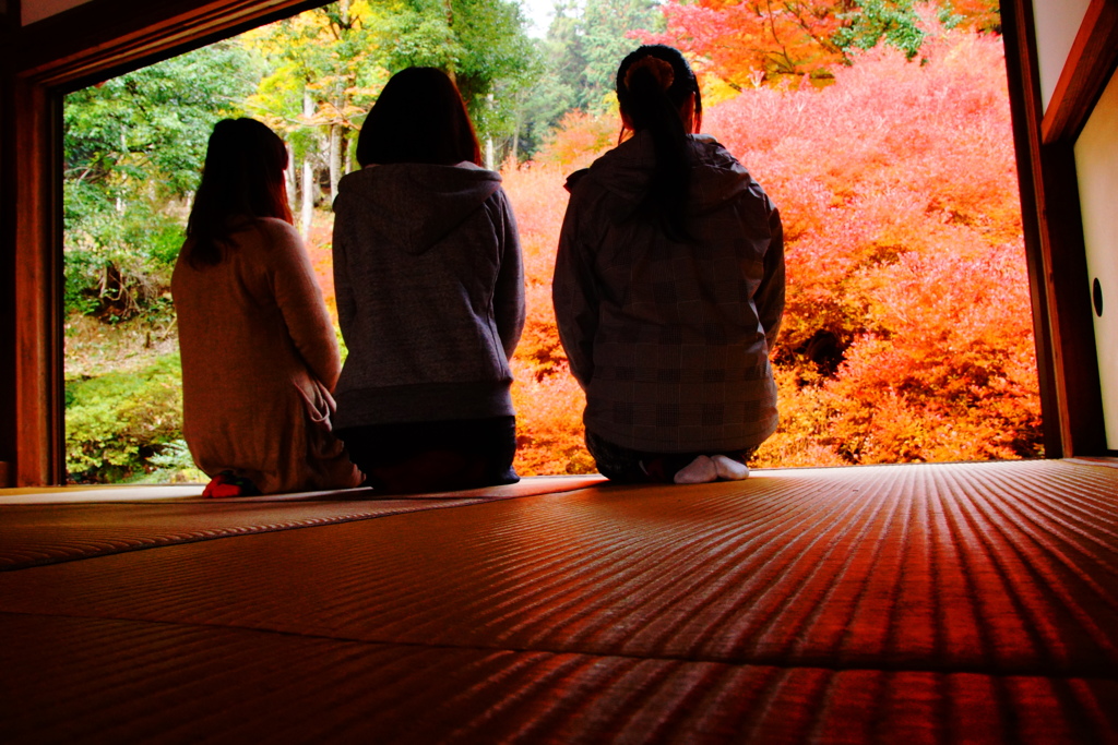 癒しの旅・・・３