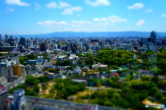 東ミニチュア