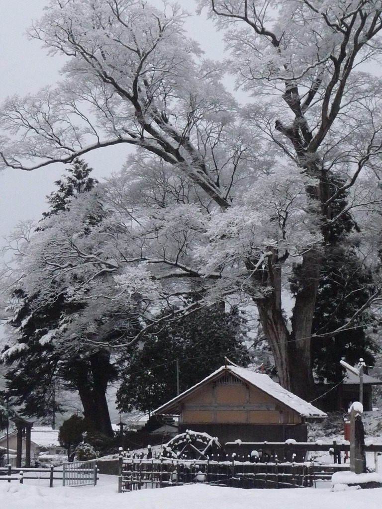 旅の途中