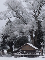 旅の途中