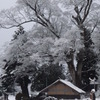 旅の途中