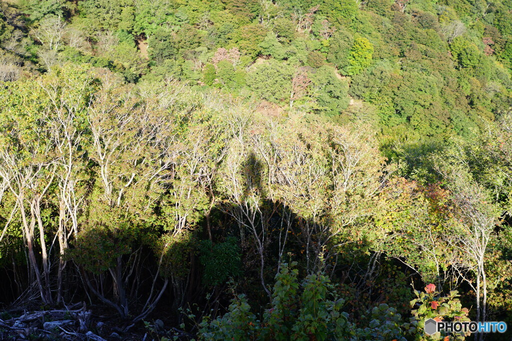 山頂から