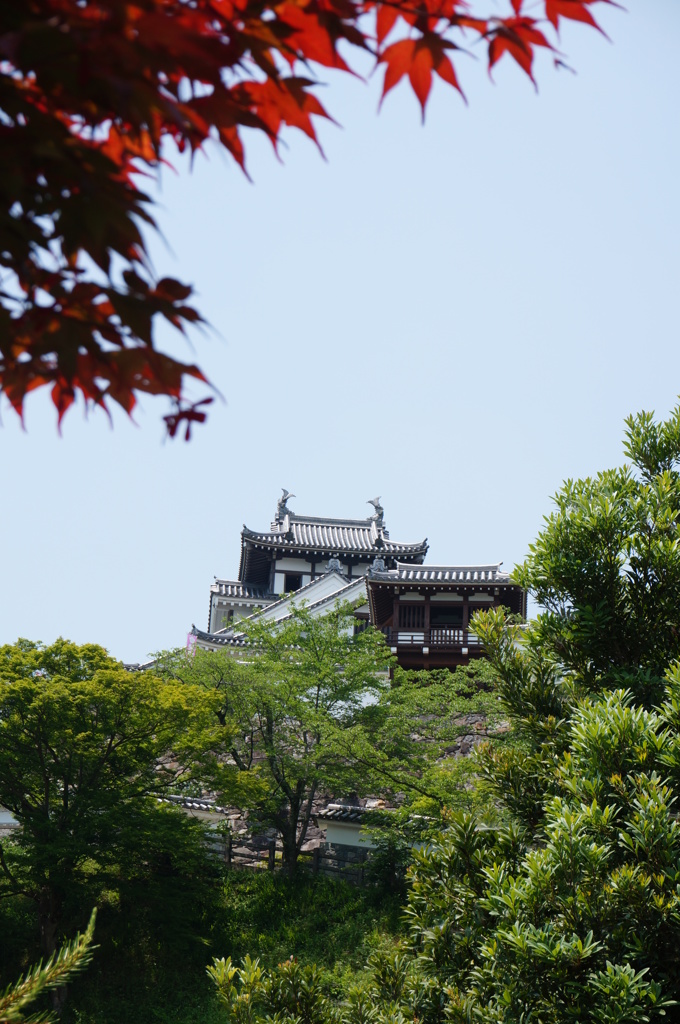 天空の城じゃない＾＾；