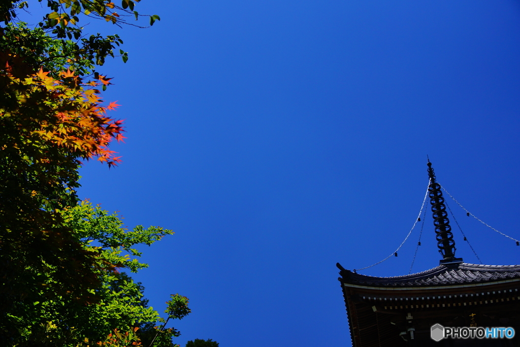 初夏