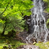 緑の滝２