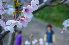 4月7日