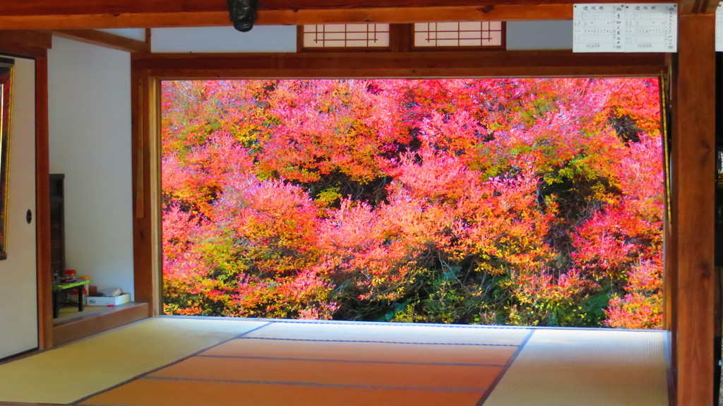 紅葉