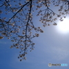 ポカポカ陽気