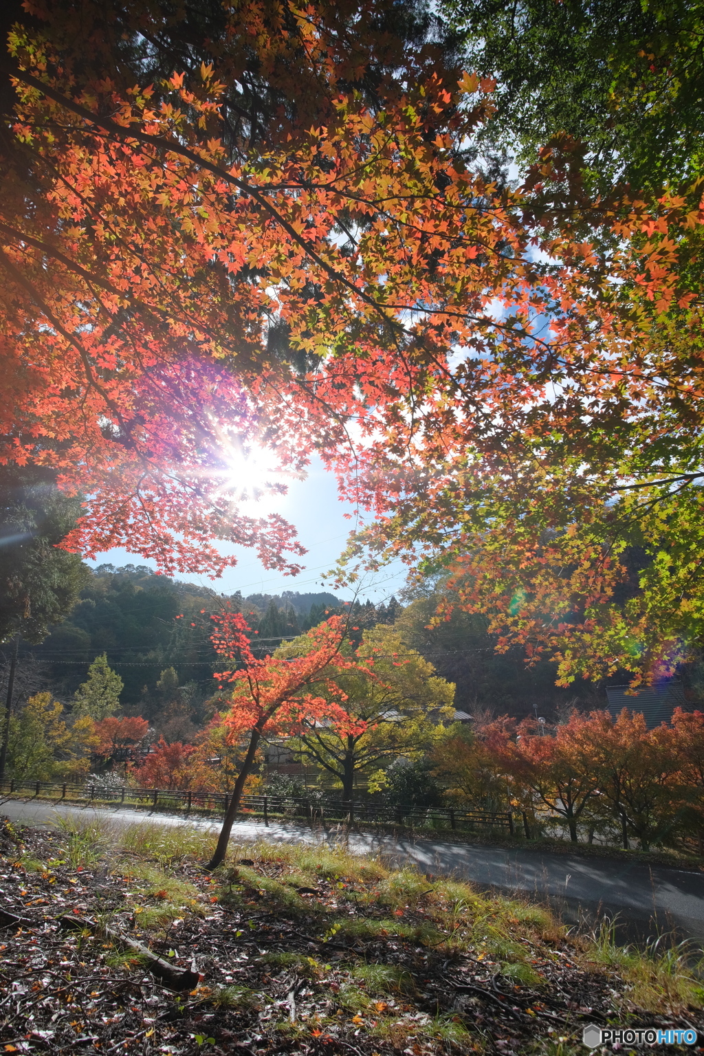 未来に続く・・秋