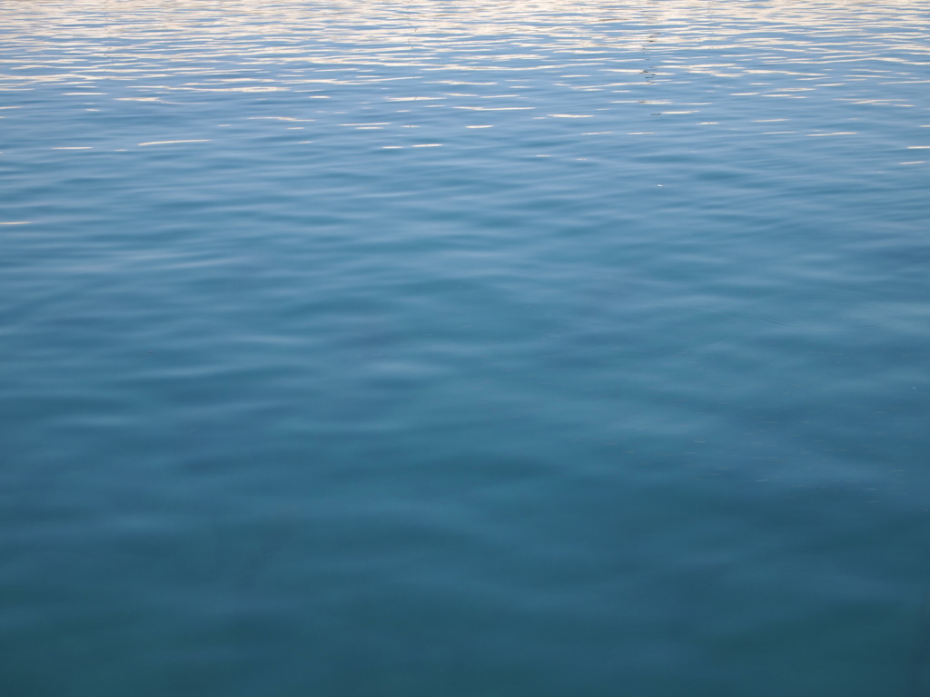 海へ