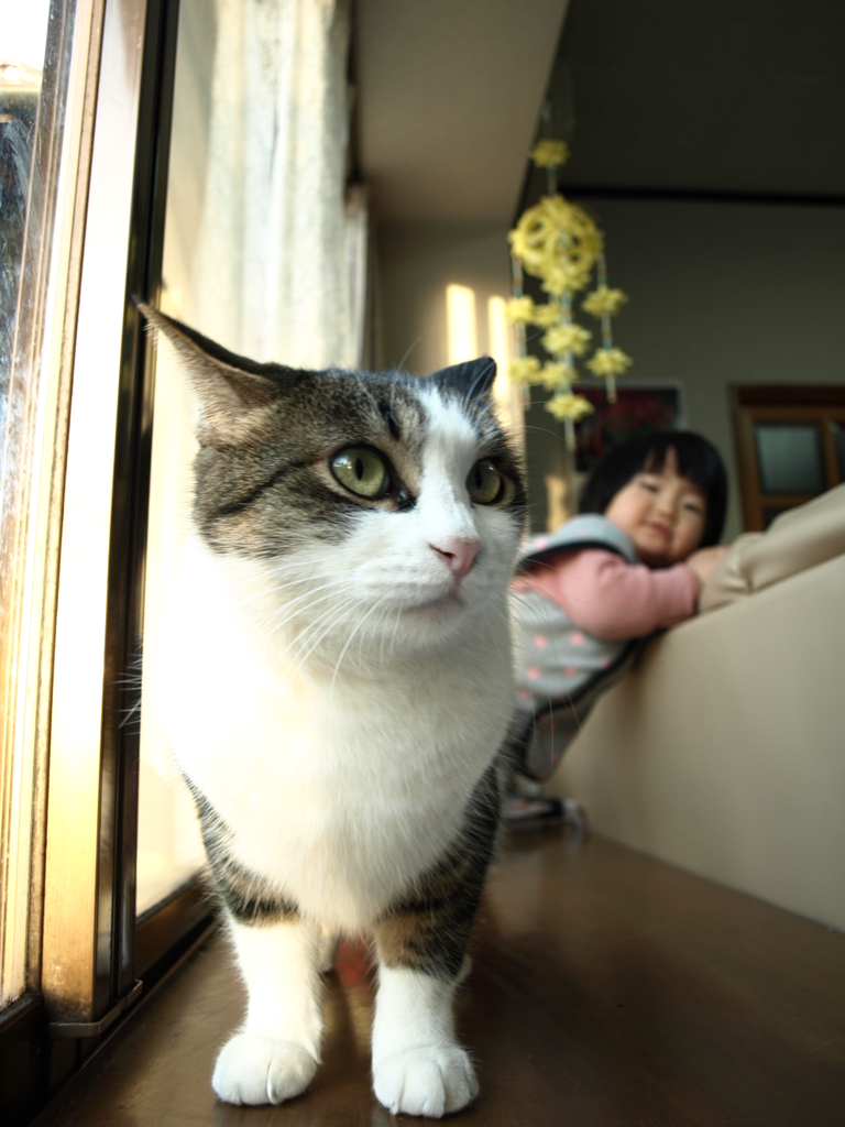 （あそぼうよ～）