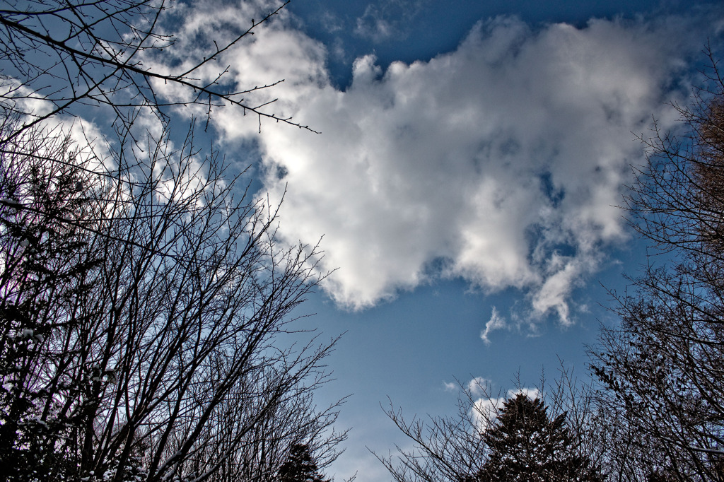 雲