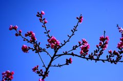 これから