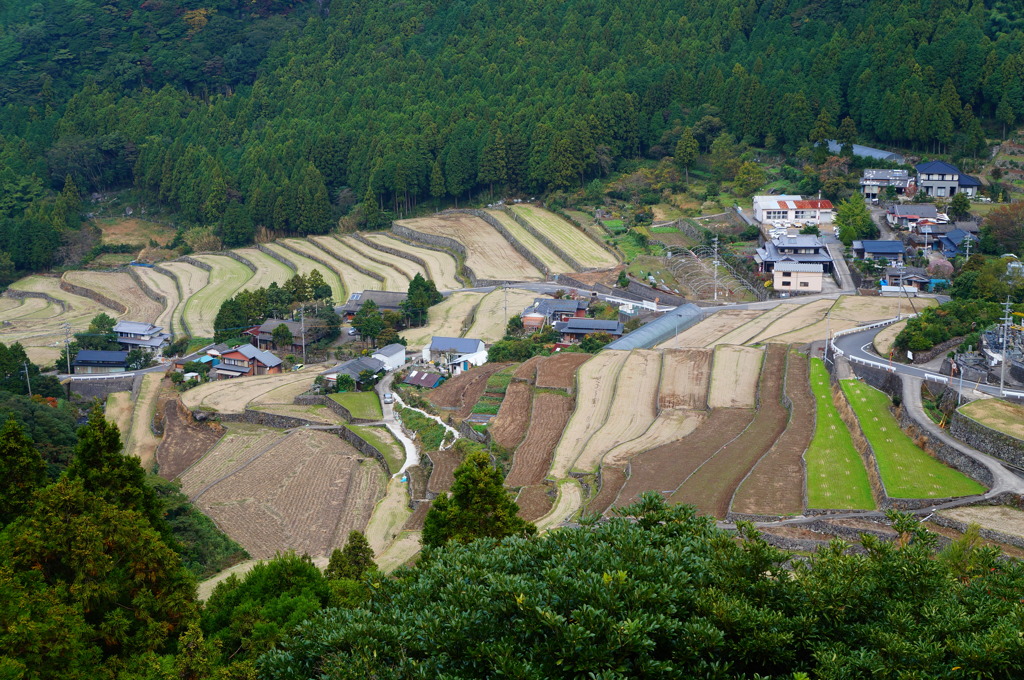 集落　棚田