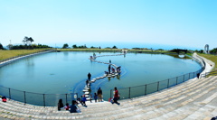 池と海