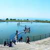 池と海