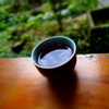 お茶と苔