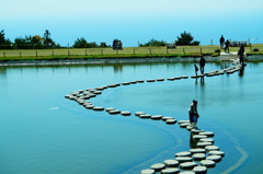 池と海