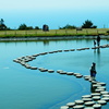 池と海