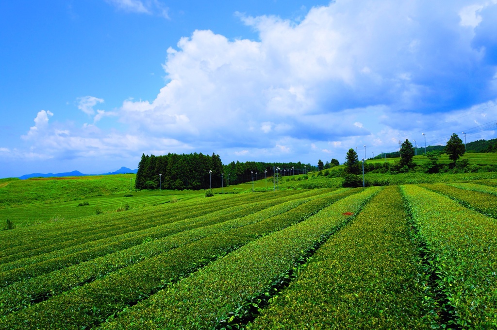 多良岳