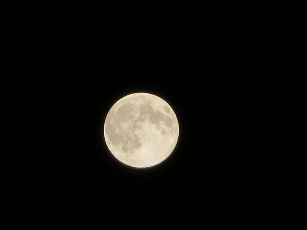 SUPER MOON