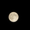 SUPER MOON