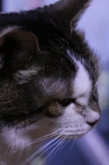 憂い顔
