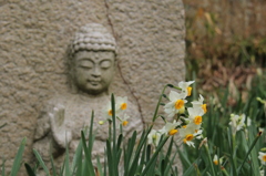 石仏と水仙