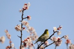 高いぞ