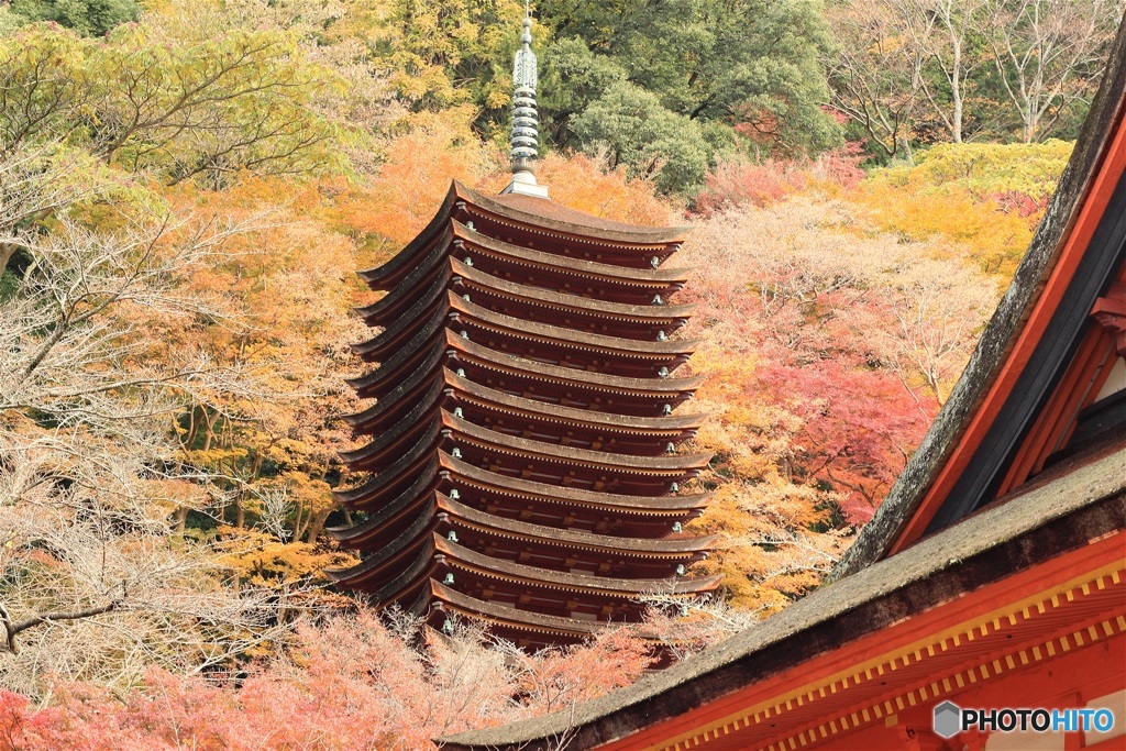紅葉　談山神社-1