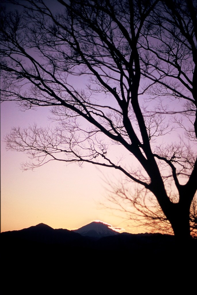 富士山