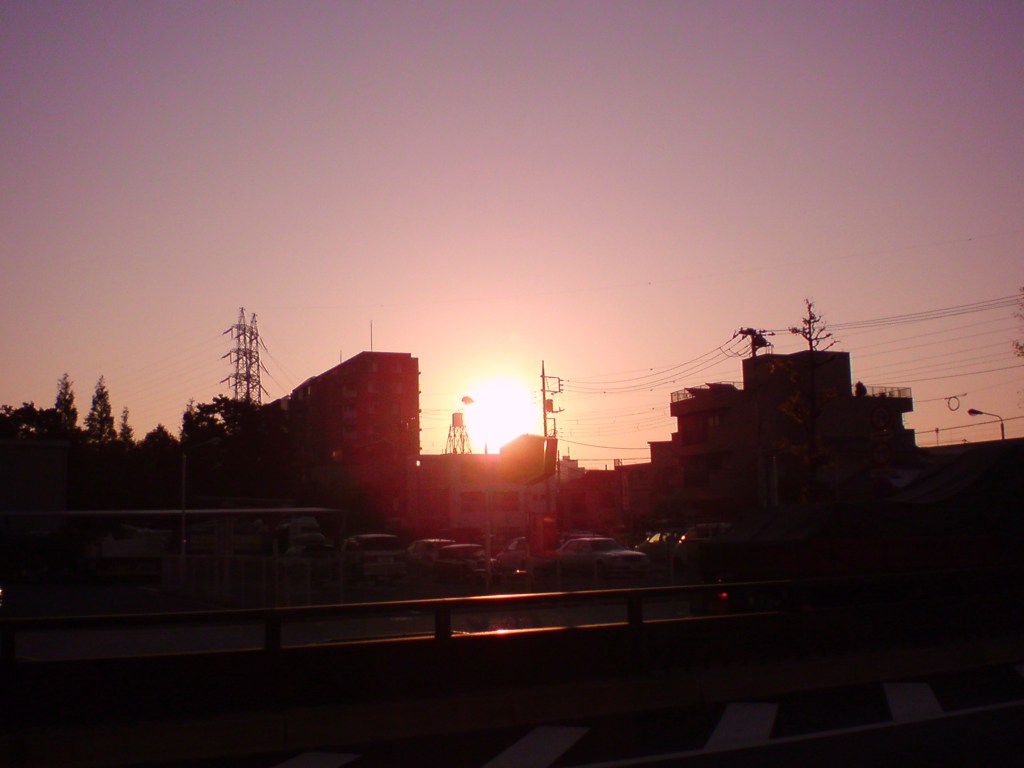 ある朝の風景