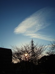 空ゆく金魚雲