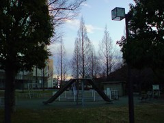 夜明けの公園