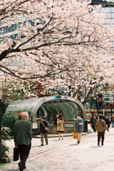 銀座の春