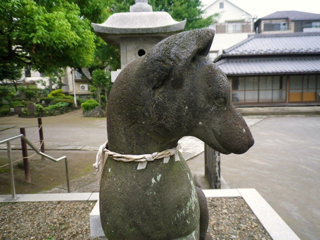 お狐父さん