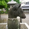 お狐父さん