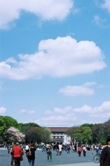 この先の、美術館へ