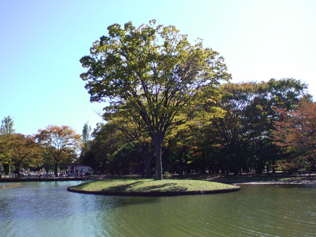 池の孤島