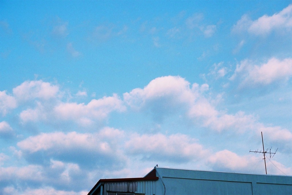 屋根の上の空