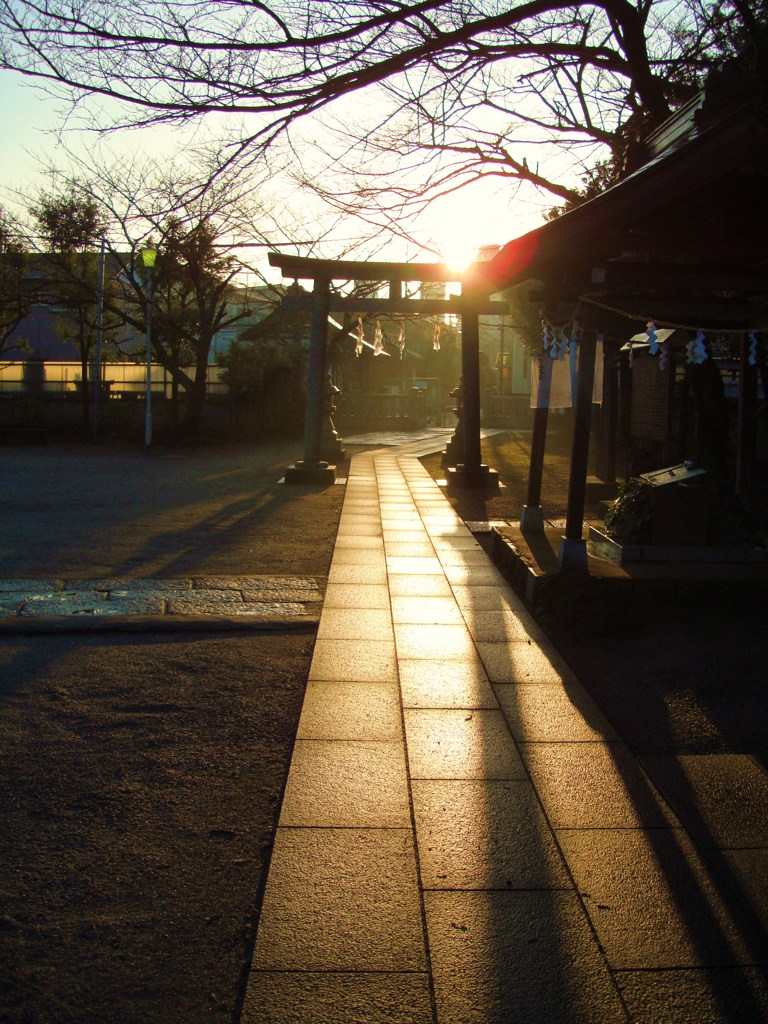 朝日のあたる石畳