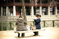 20100417ソウル旅行210