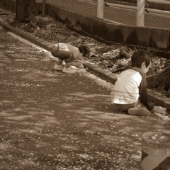 2010多摩センター桜-227