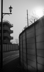 多摩川(2010-2-22)-5