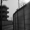多摩川(2010-2-22)-5