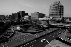 2010多摩センター桜-249